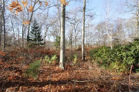 147 Tonset Rd, Orleans, MA 02653 photo 1