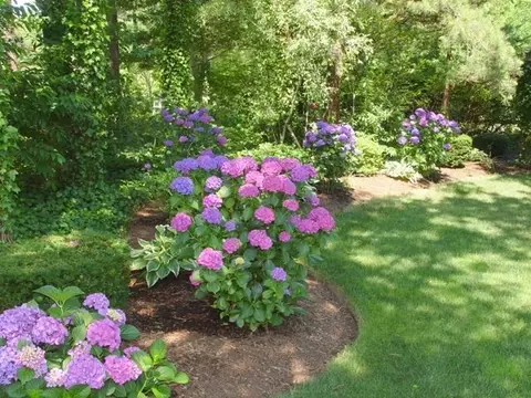27 Thyme Ln, Osterville, MA 02655 photo 6