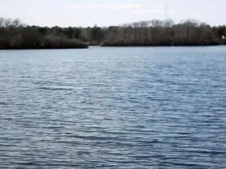 95 Goose Point Rd, Centerville, MA 02632 photo 9