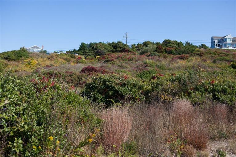 1 Kill Devil Rd, Truro, MA 02666 photo 7