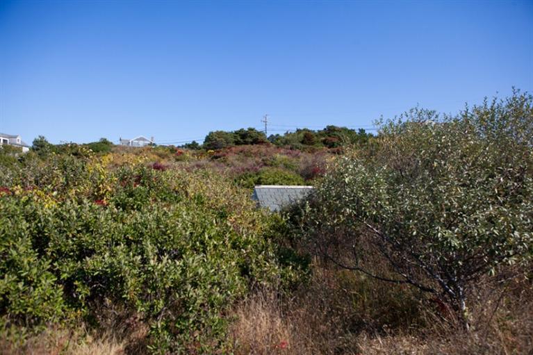 1 Kill Devil Rd, Truro, MA 02666 photo 8