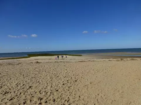 1195 Bridge Rd, Eastham, MA 02642 photo 35