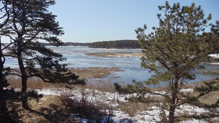 345 Pilgrim Spring Rd, Wellfleet, MA 02667 photo 17