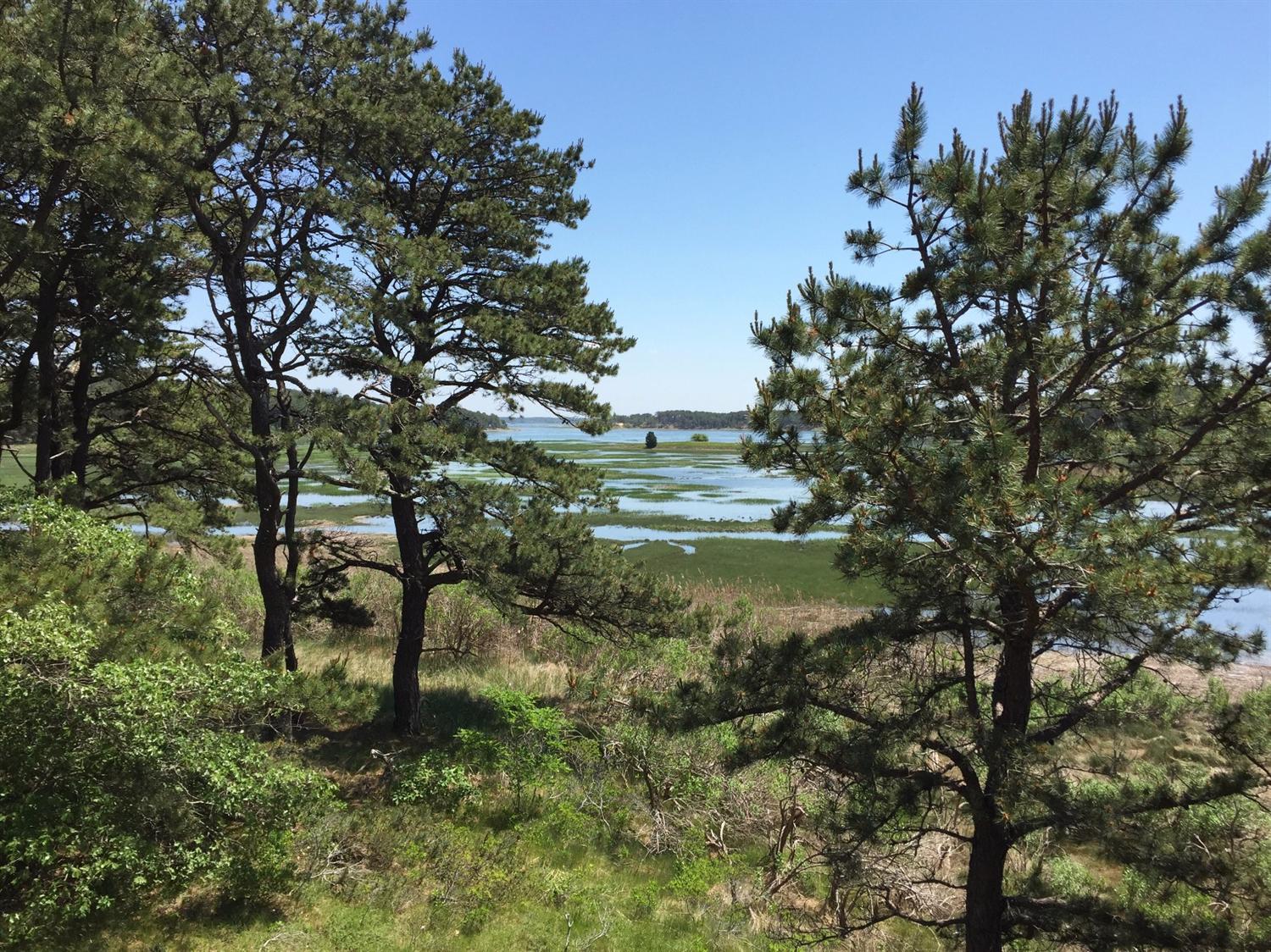 345 Pilgrim Spring Rd, Wellfleet, MA 02667 photo 18