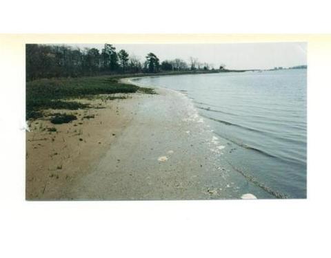 6 Preservation Ln, Wareham, MA 02571 photo 7
