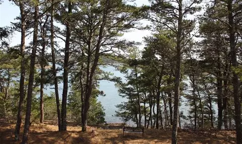 30 Second St, Wellfleet, MA 02667 photo 8