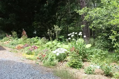 30 Second St, Wellfleet, MA 02667 photo 3