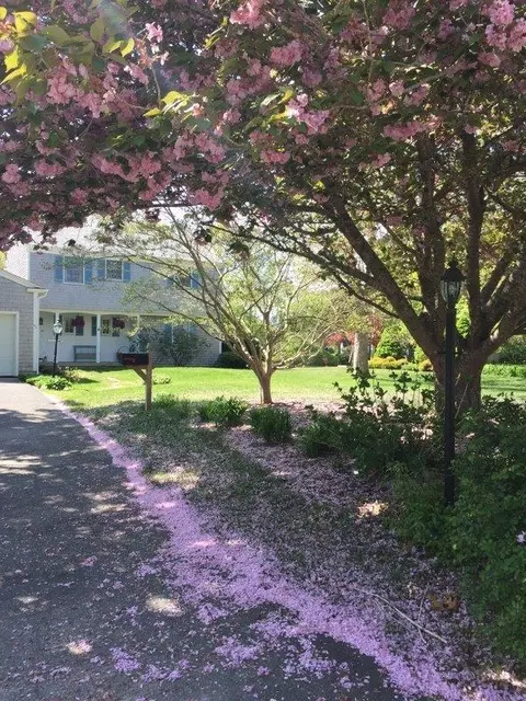 45 Dunaskin Rd, Centerville, MA 02632 photo 1
