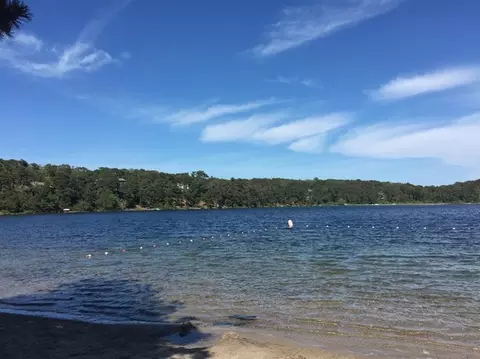 16 Riverview Dr, Chatham, MA 02633 photo 34