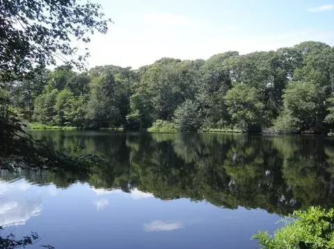 5 Pine Ln, Osterville, MA 02655 photo 5