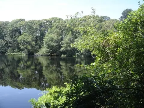 5 Pine Ln, Osterville, MA 02655 photo 6