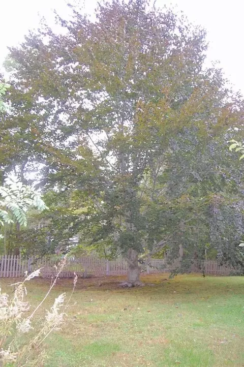 474 Willow St, West Barnstable, MA 02668 photo 28