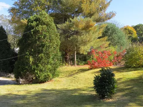 505 Old Stage Rd, Centerville, MA 02632 photo 6