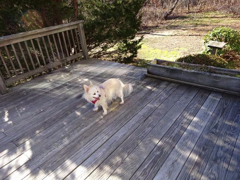 10 Centre St, Wellfleet, MA 02667 photo 9