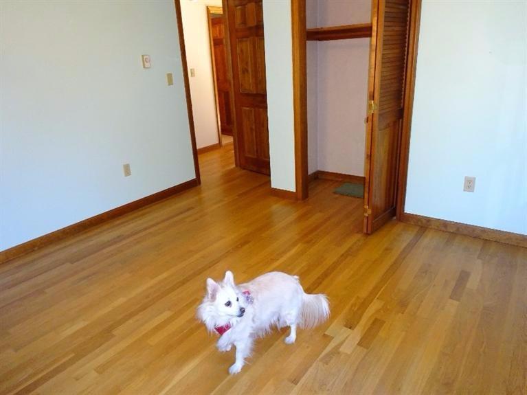 10 Centre St, Wellfleet, MA 02667 photo 21