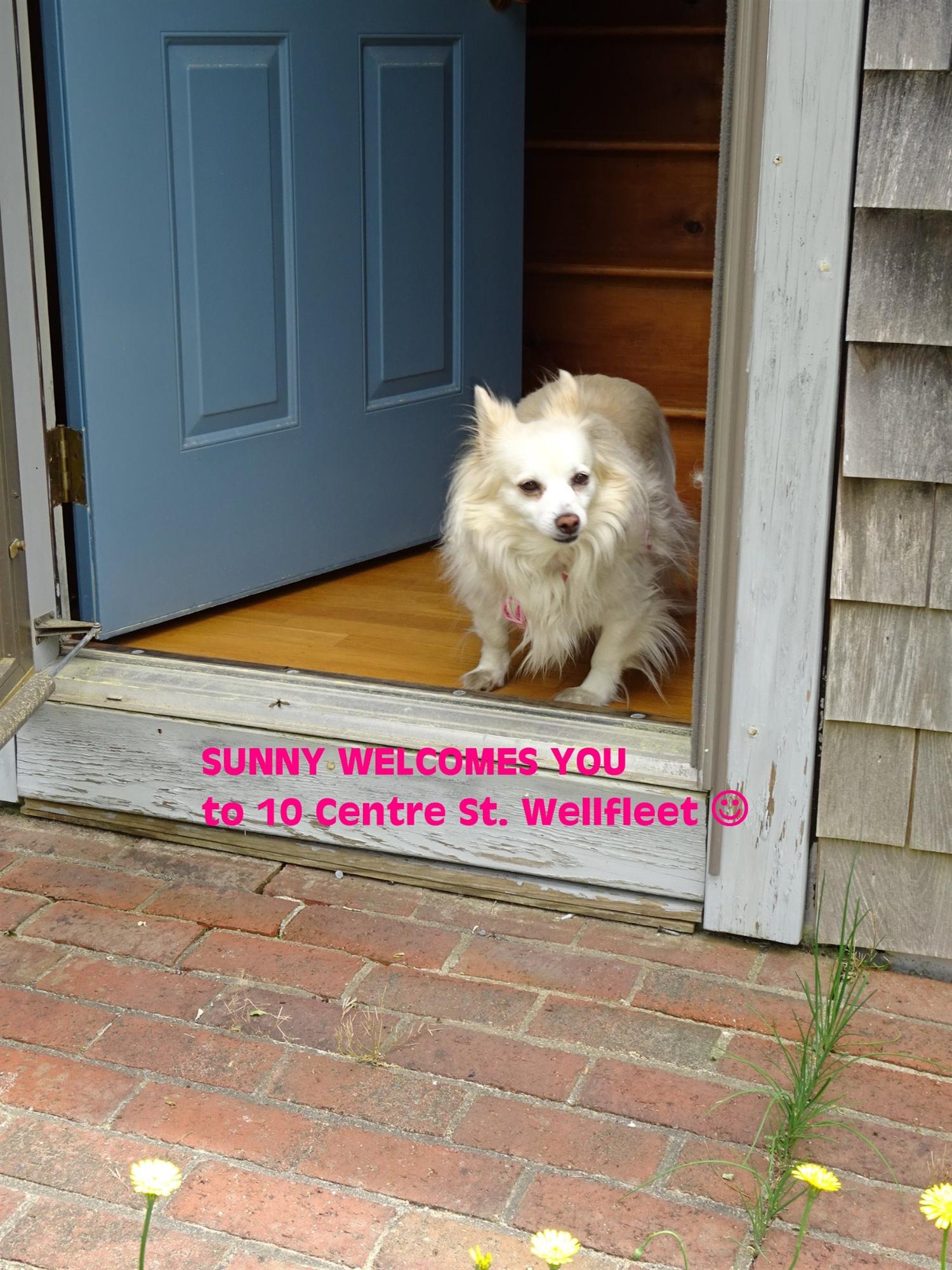 10 Centre St, Wellfleet, MA 02667 photo 2