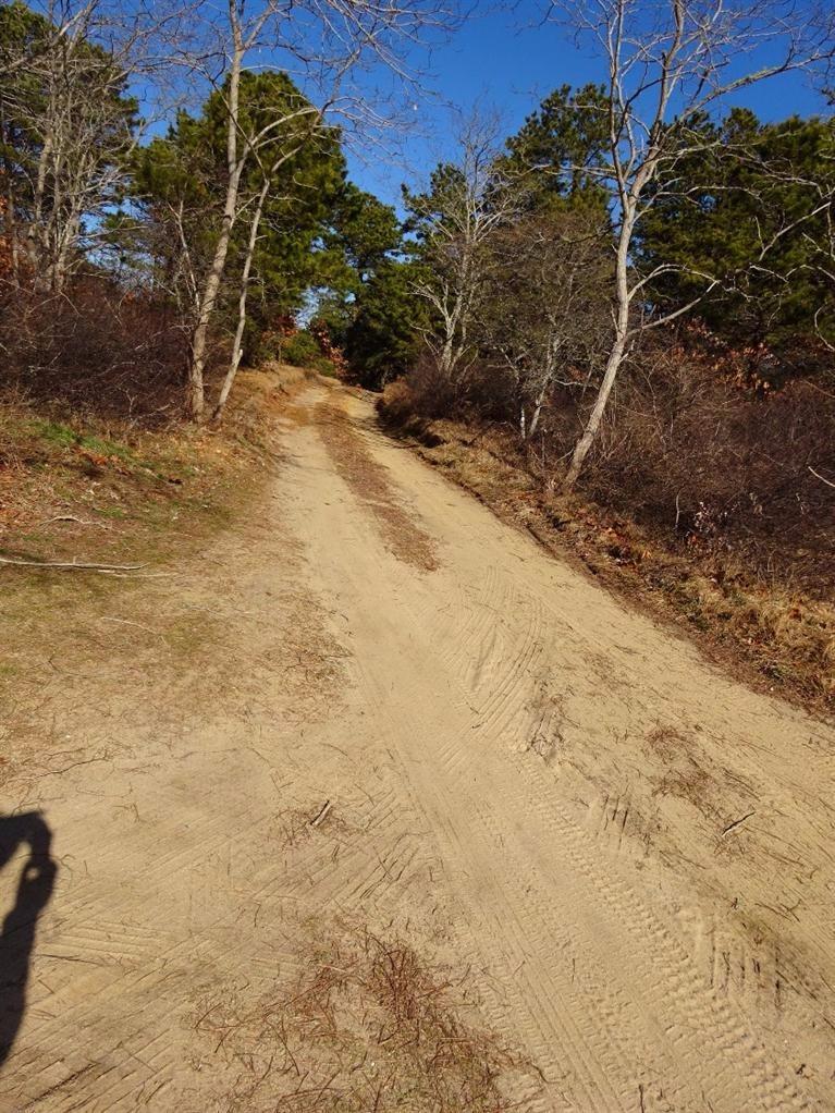 10 Centre St, Wellfleet, MA 02667 photo 31