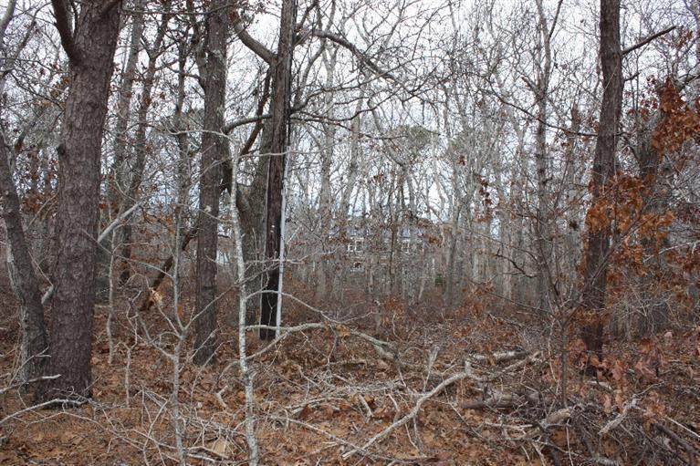 725 Massasoit Rd, Eastham, MA 02642 photo 10