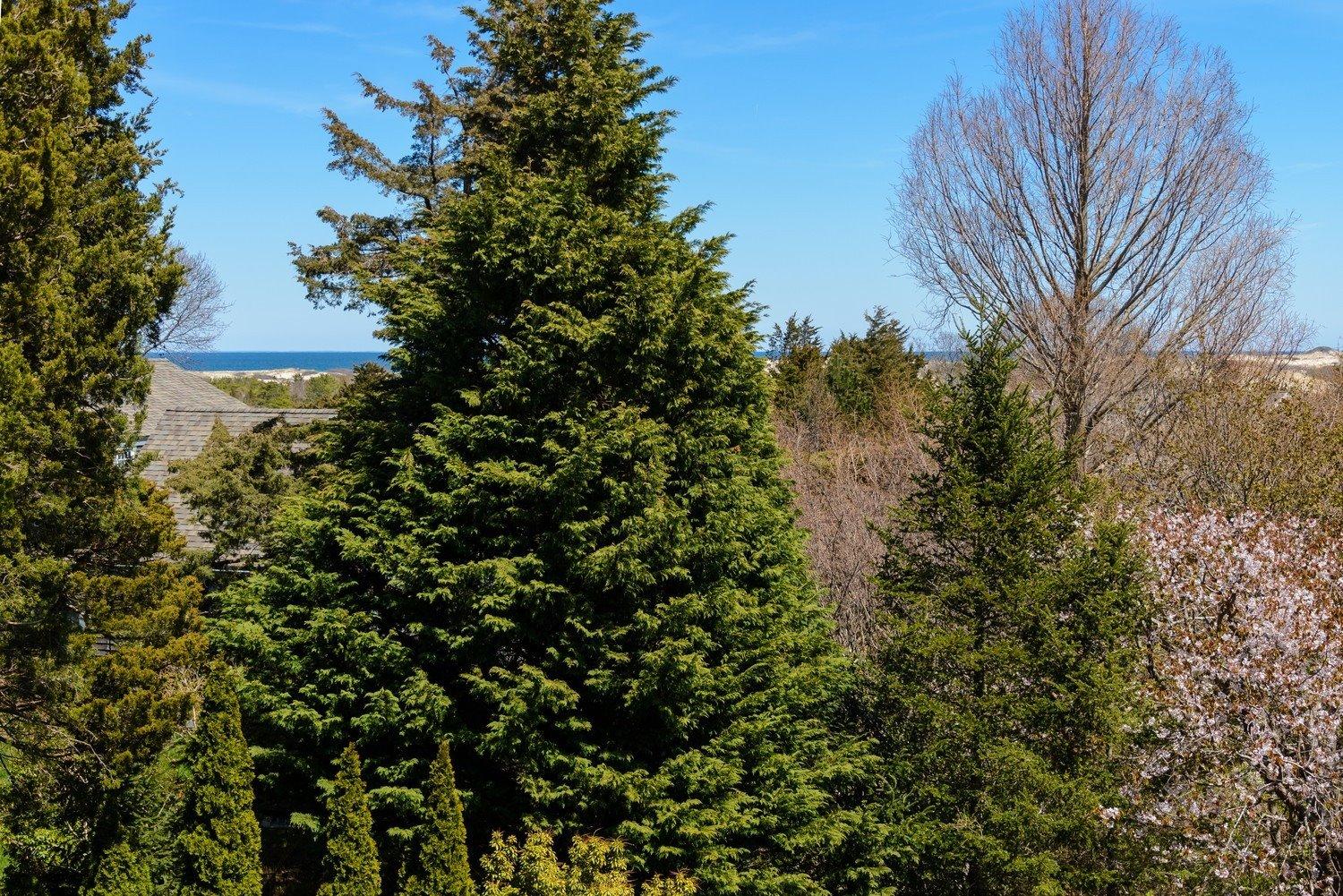52 Point Hill Rd, West Barnstable, MA 02668 photo 22