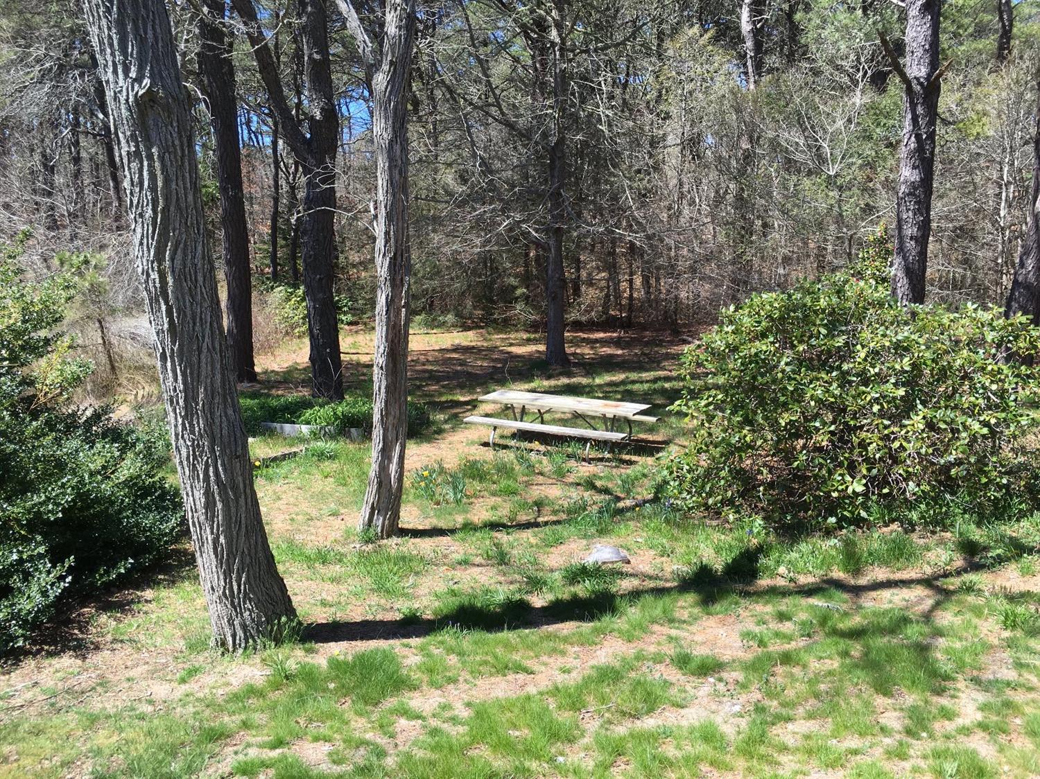 35 Split Rail Rd, Eastham, MA 02642 photo 5