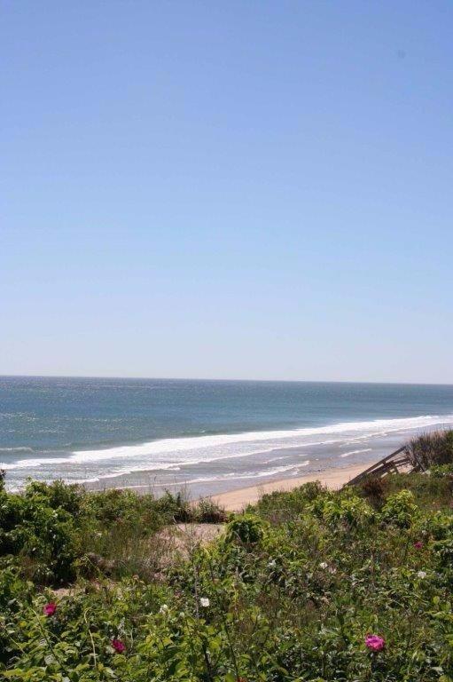 35 Emerson Rd, Eastham, MA 02642 photo 31