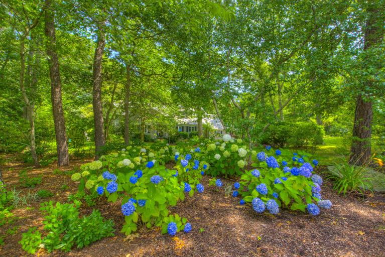 240 Marstons Ln, Cummaquid, MA 02637 photo 3