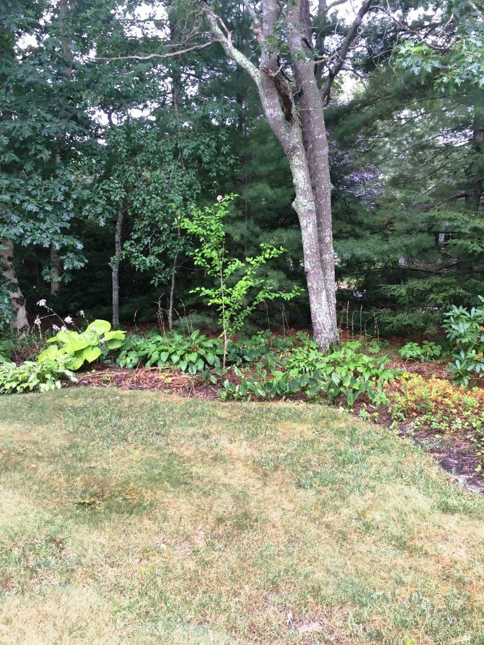 288 Mariner Cir, Cotuit, MA 02635 photo 29