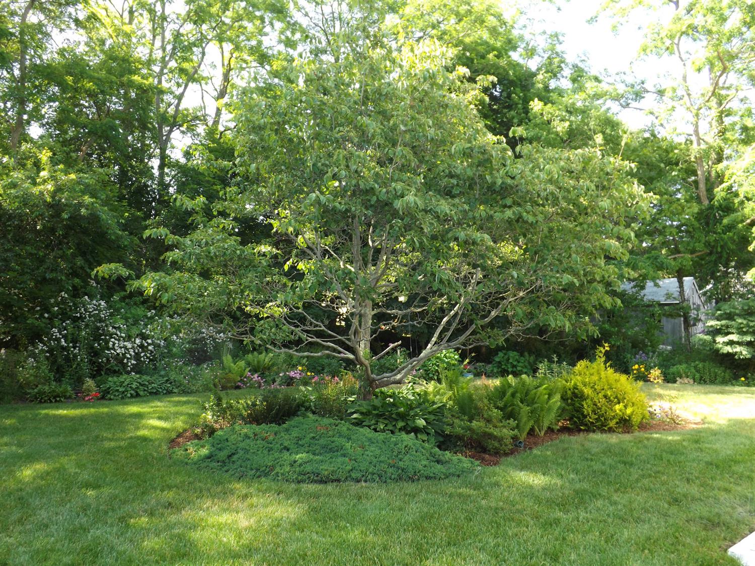 9 Clark Rd, Sagamore Beach, MA 02562 photo 27