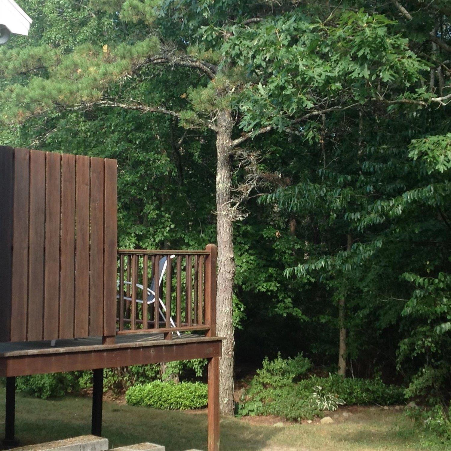 19 Windsor Pt, Mashpee, MA 02649 photo 10