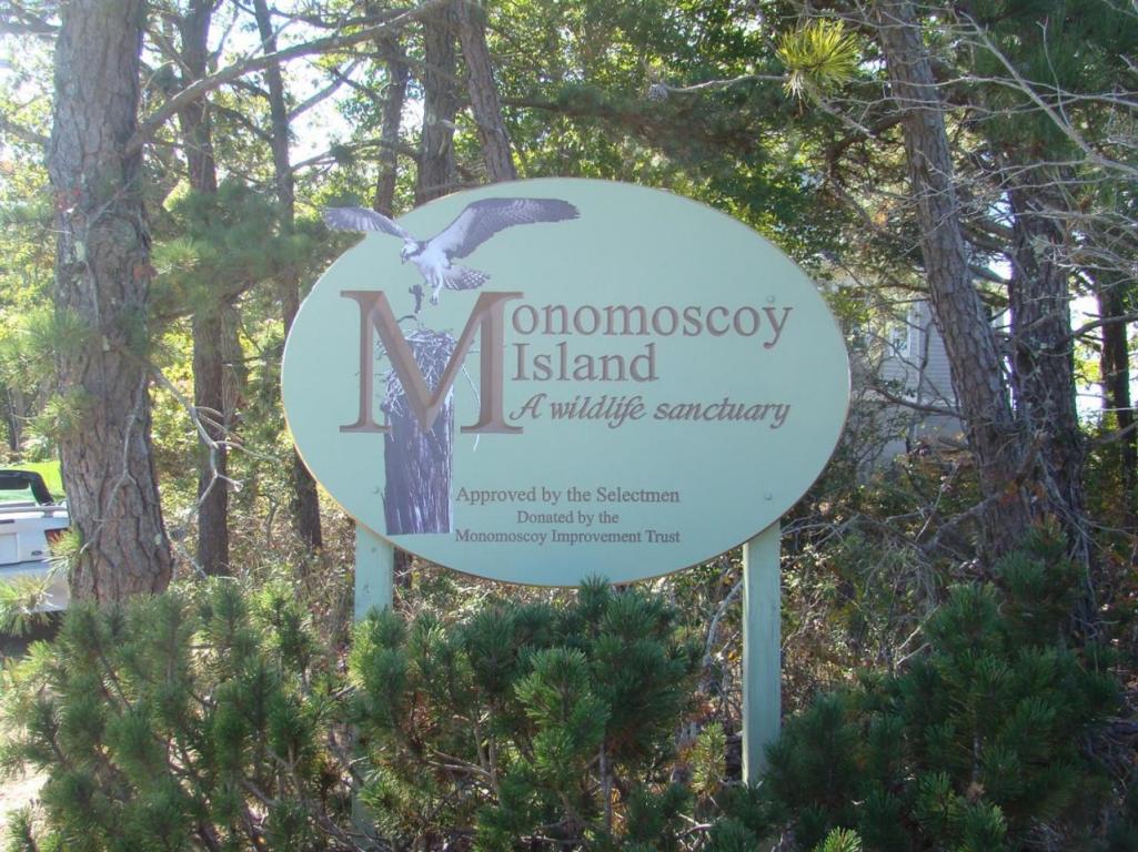 41 Meadowbrook Rd, Mashpee, MA 02649 photo 20