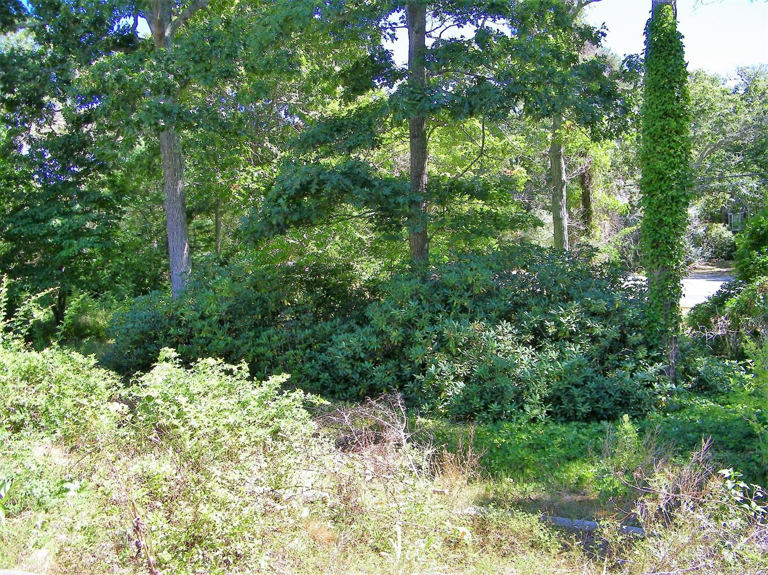 10 Burrows Rd, Eastham, MA 02642 photo 13