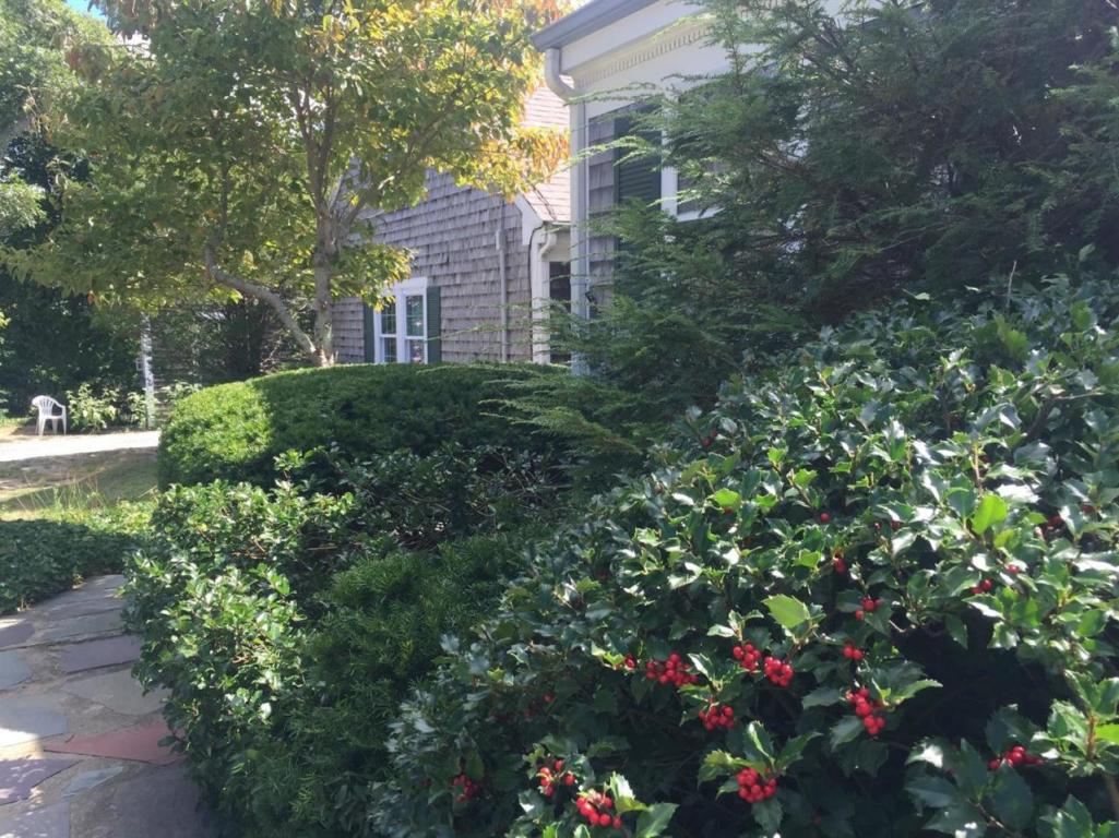 485 Pine St, Centerville, MA 02632 photo 1
