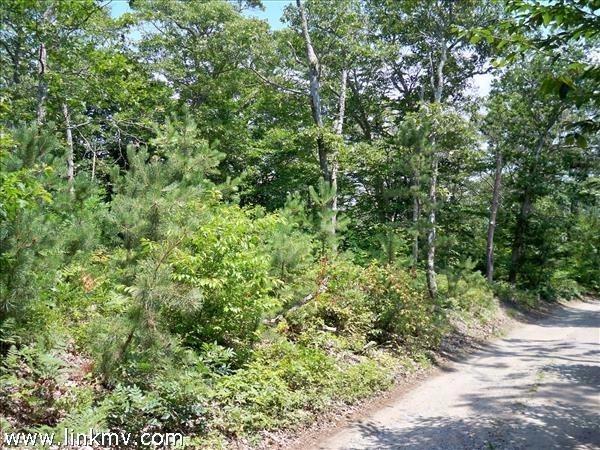 24 Border Rd, Vineyard Haven, MA 02568 photo 2