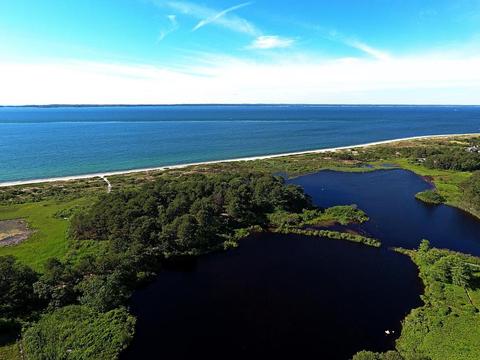 78 Mitchell Rd, Tisbury, MA 02568 photo 3