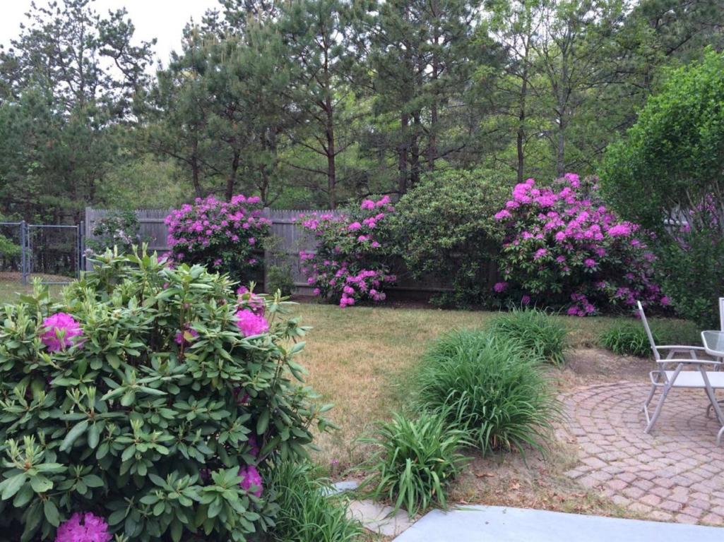 51 Finway, Mashpee, MA 02649 photo 6