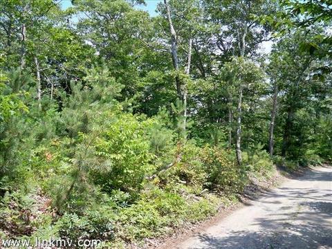 74 Border Rd, Vineyard Haven, MA 02568 photo 8