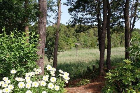 39 Bayshore Dr, Mashpee, MA 02649 photo 4