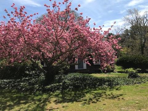 1720 Bridge Rd, Eastham, MA 02642 photo 24