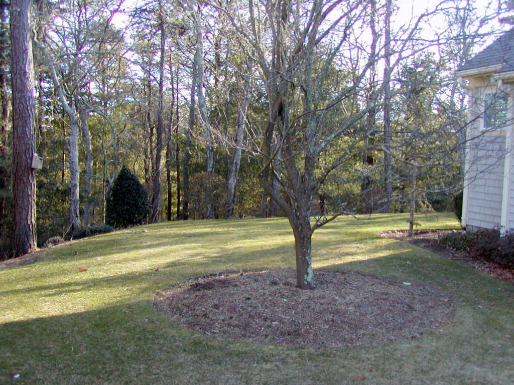 3 Shaker Dr, Bourne, MA 02532 photo 7
