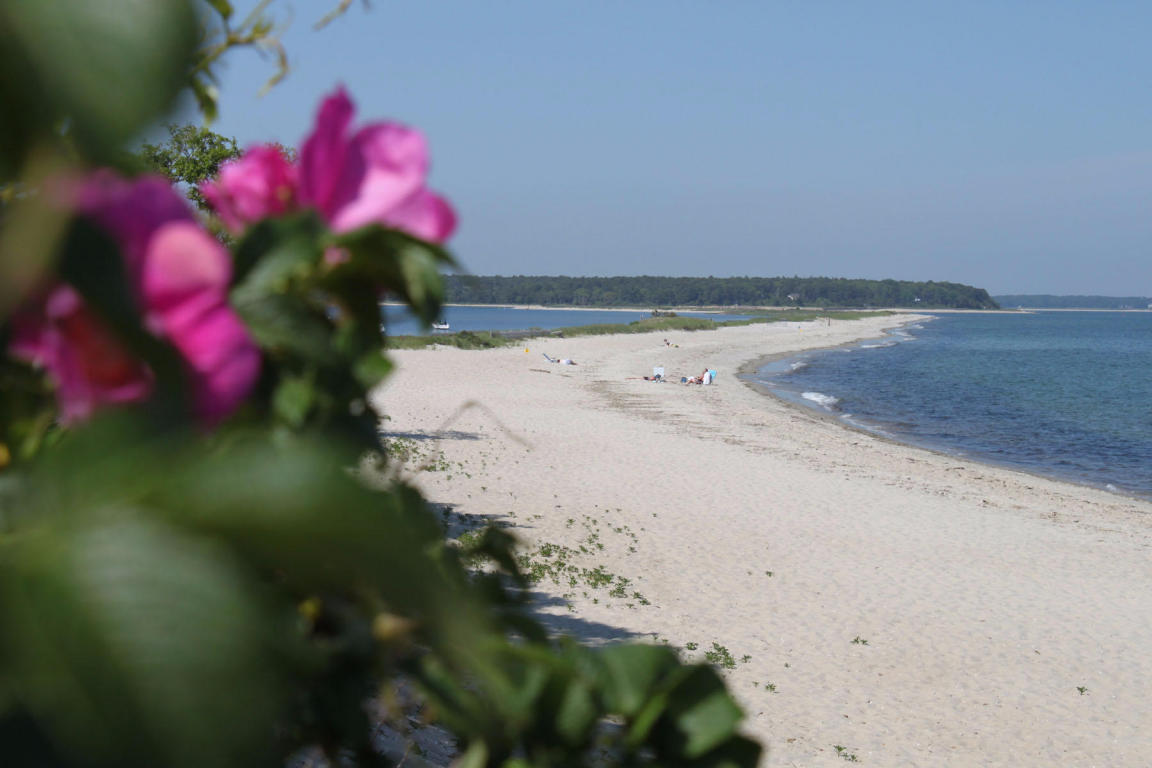 71 Shellback Way #71 L, Mashpee, MA 02649 photo 30