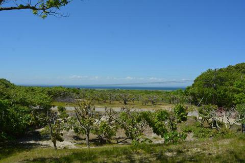 22 Lighthouse Rd, Aquinnah, MA 02535 photo 4
