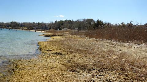 2 Burgess Point Rd, Wareham, MA 02571 photo 35