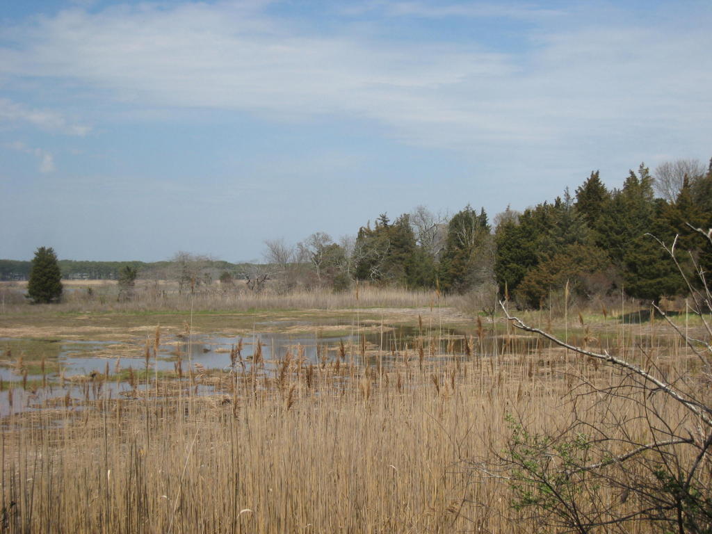 60 John Thomas Rd, Eastham, MA 02642 photo 7