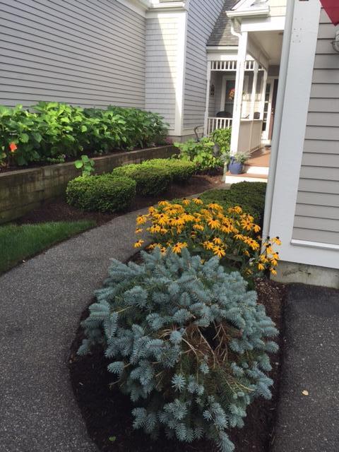 4 Prestwick Rd, Bourne, MA 02532 photo 15