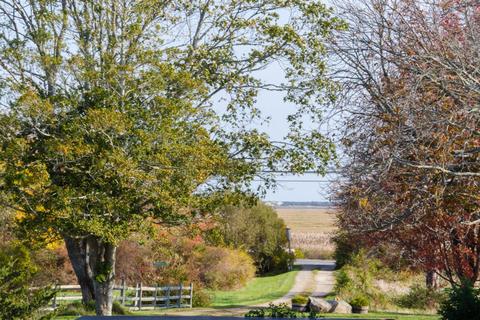 1247 Main St, West Barnstable, MA 02668 photo 16