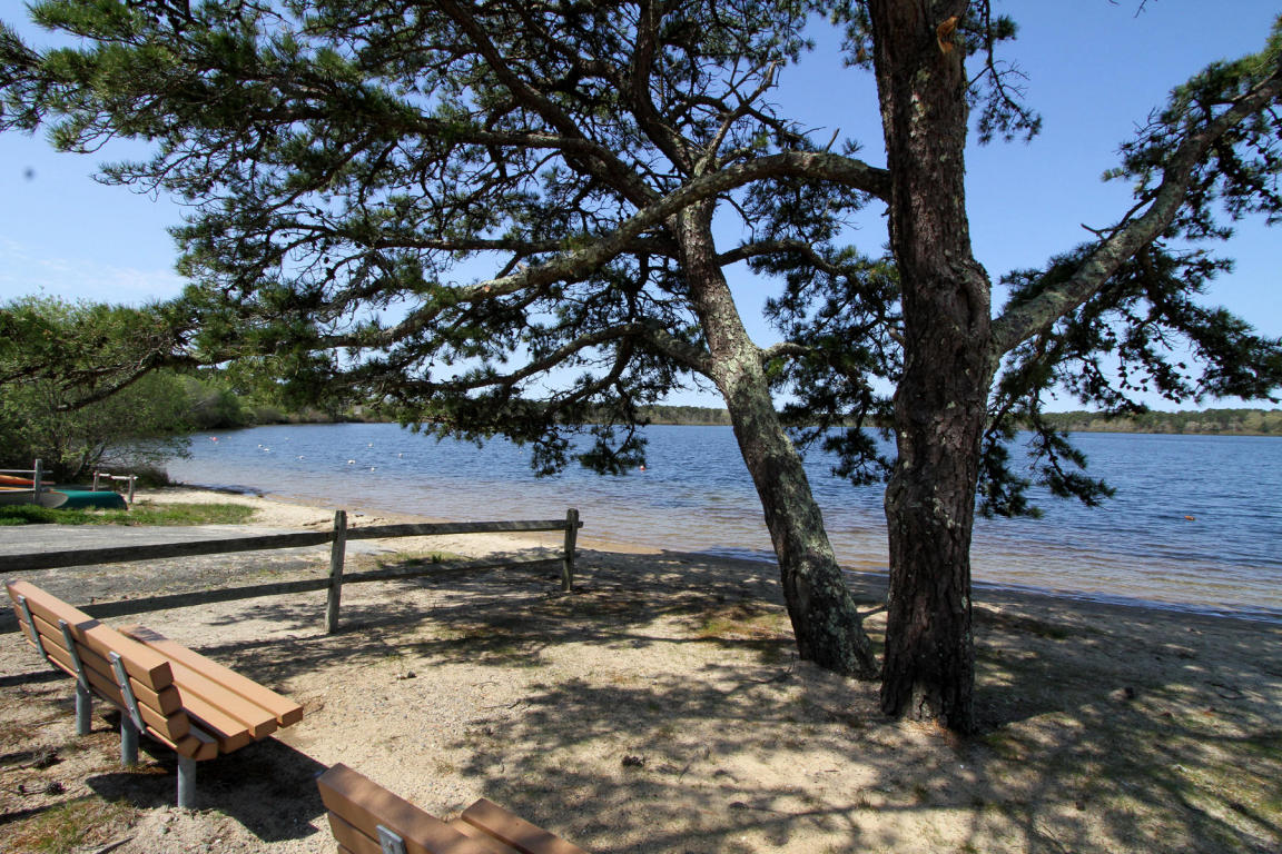45 Whitney Rd, Eastham, MA 02642 photo 33
