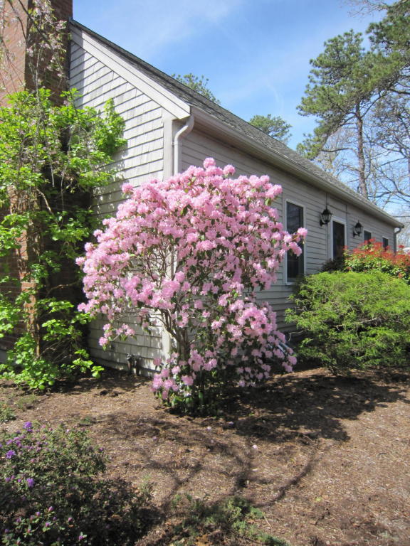 45 Whitney Rd, Eastham, MA 02642 photo 22