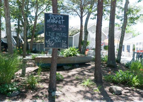 21 Menemsha Rd, Popponesset, MA 02649 photo 27