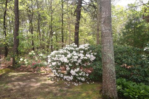 1387 Old Post Rd, Marstons Mills, MA 02648 photo 5