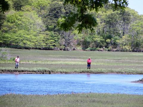 68 Smith St, West Harwich, MA 02671 photo 13
